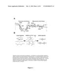 COMPOSITIONS AND METHODS FOR IMPROVED OCCLUSION OF VASCULAR DEFECTS diagram and image