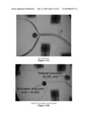 COMPOSITIONS AND METHODS FOR IMPROVED OCCLUSION OF VASCULAR DEFECTS diagram and image