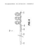 ENDOVASCULAR DEVICES AND METHODS FOR EXPLOITING INTRAMURAL SPACE diagram and image