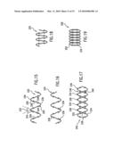 Endoprosthesis For Controlled Contraction And Expansion diagram and image