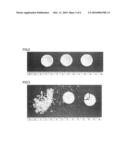 BONE FILLING MATERIAL AND KIT FOR THE PREPARATION OF THE SAME diagram and image