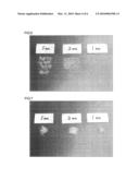 BONE FILLING MATERIAL AND KIT FOR THE PREPARATION OF THE SAME diagram and image