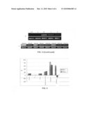 CROP GRAIN FILLING GENE GIF1 AND THE APPLICATIONS THEREOF diagram and image