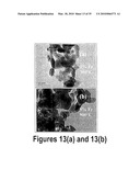 TRANSITION METAL-DOPED OXIDE SEMICONDUCTOR EXHIBITING ROOM-TEMPERATURE FERROMAGNETISM diagram and image