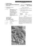 LIGHTWEIGHT CONCRETE COMPOSITIONS diagram and image