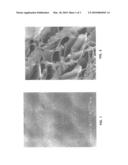 LIGHTWEIGHT CONCRETE COMPOSITIONS diagram and image