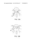 HAIR ACCESSORY AND METHOD OF STYLING HAIR diagram and image