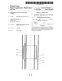 CABLE DUCT DEVICE IN A SWELLING PACKER diagram and image