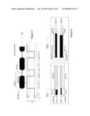 Record Carrier as well as an Apparatus and Method for Applying Image Data as a Visually Detectable Pattern at an Optical Record Carrer diagram and image