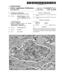 METHODS OF CHROMOGEN SEPARATION-BASED IMAGE ANALYSIS diagram and image