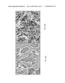 METHODS OF CHROMOGEN SEPARATION-BASED IMAGE ANALYSIS diagram and image