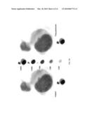 METHODS OF CHROMOGEN SEPARATION-BASED IMAGE ANALYSIS diagram and image