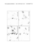 METHODS OF CHROMOGEN SEPARATION-BASED IMAGE ANALYSIS diagram and image