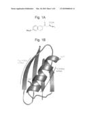 NONLINEAR OPTICAL DETECTION OF MOLECULES COMPRISING AN UNNATURAL AMINO ACID POSSESSING A HYPERPOLARIZABILITY diagram and image