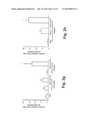 Bispecific fusion protein having therapeutic and diagnostic potential diagram and image