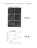 Bispecific fusion protein having therapeutic and diagnostic potential diagram and image