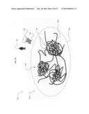 Ex vivo activatable final dosage form diagram and image