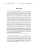 Recombinant Human Albumin-Interleukin-11 Fusion Protein With Long-Lasting Biological Effects diagram and image