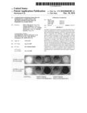 COMPOSITION FOR REGENERATION OF PERIODONTAL HARD TISSUE AND METHOD FOR REGENERATION OF PERIODONTAL HARD TISSUE diagram and image