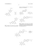 4-ARYLOXYQUINOLIN-2(1H)-ONES AS MTOR KINASE AND PI3 KINASE INHIBITORS, FOR USE AS ANTI-CANCER AGENTS diagram and image