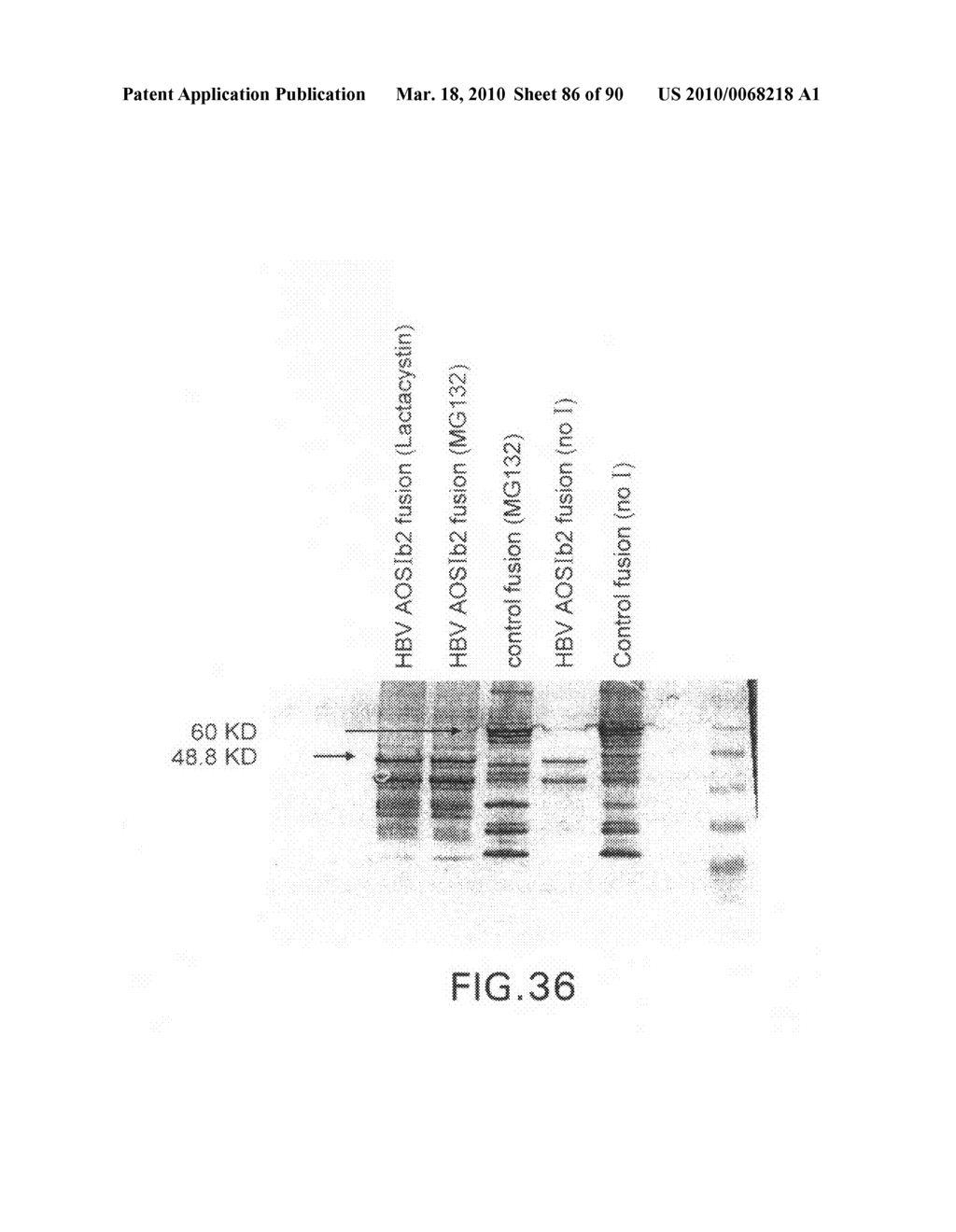 Optimized Multi-Epitope Constructs and Uses Thereof - diagram, schematic, and image 87