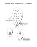 BLEOMYCIN PREPARATION FOR USE AGAINST SKIN TUMOURS diagram and image