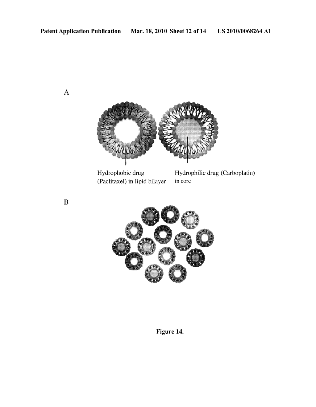 NIOSOME-HYDROGEL DRUG DELIVERY SYSTEM - diagram, schematic, and image 13