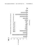 CATHODE FOR AN ELECTROCHEMICAL CELL diagram and image