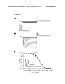 Assay System For Monitoring The Effects Of Genetically Engineered Cells To Alter Function Of A Synctium diagram and image