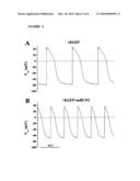 Assay System For Monitoring The Effects Of Genetically Engineered Cells To Alter Function Of A Synctium diagram and image