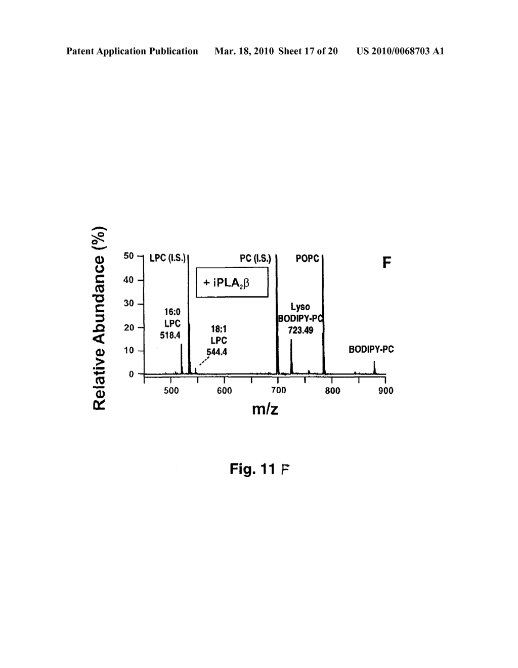 ENHANCED MEDICAL TREATMENTS RESULTING FROM CHEMICAL IDENTIFICATION OF CALCIUM INFLUX FACTOR, IDENTITY WITH THE FACTOR ACTIVATING PHOSPHOLIPOLYSIS AND PRECIPITATING SUDDEN DEATH DURING MYOCARDIAL INFARCTION, AND DETERMINATION OF SIMILAR ACTIVATING MECHANISMS IN MULTIPLE CELL TYPES THROUGH DISINHIBITION OF CALCIUM-INDEPENDENT PHOSPHOLIPASE A2BETA - diagram, schematic, and image 18