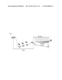 OLIGONUCLEOTIDES COMPRISING SIGNALLING PAIRS AND HYDROPHOBIC NUCLEOTIDES, STEMLESS BEACONS, FOR DETECTION OF NUCLEIC ACIDS, METHYLATION STATUS AND MUTANTS OF NUCLEIC ACIDS diagram and image