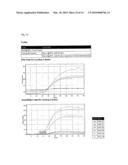 OLIGONUCLEOTIDES COMPRISING SIGNALLING PAIRS AND HYDROPHOBIC NUCLEOTIDES, STEMLESS BEACONS, FOR DETECTION OF NUCLEIC ACIDS, METHYLATION STATUS AND MUTANTS OF NUCLEIC ACIDS diagram and image