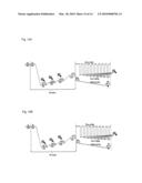 OLIGONUCLEOTIDES COMPRISING SIGNALLING PAIRS AND HYDROPHOBIC NUCLEOTIDES, STEMLESS BEACONS, FOR DETECTION OF NUCLEIC ACIDS, METHYLATION STATUS AND MUTANTS OF NUCLEIC ACIDS diagram and image