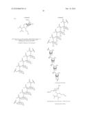 OLIGONUCLEOTIDES COMPRISING SIGNALLING PAIRS AND HYDROPHOBIC NUCLEOTIDES, STEMLESS BEACONS, FOR DETECTION OF NUCLEIC ACIDS, METHYLATION STATUS AND MUTANTS OF NUCLEIC ACIDS diagram and image