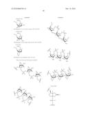 OLIGONUCLEOTIDES COMPRISING SIGNALLING PAIRS AND HYDROPHOBIC NUCLEOTIDES, STEMLESS BEACONS, FOR DETECTION OF NUCLEIC ACIDS, METHYLATION STATUS AND MUTANTS OF NUCLEIC ACIDS diagram and image