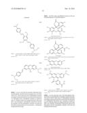 OLIGONUCLEOTIDES COMPRISING SIGNALLING PAIRS AND HYDROPHOBIC NUCLEOTIDES, STEMLESS BEACONS, FOR DETECTION OF NUCLEIC ACIDS, METHYLATION STATUS AND MUTANTS OF NUCLEIC ACIDS diagram and image