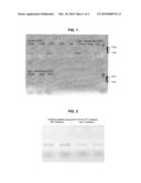 DISPOSABLE ARTICLES FOR ANALYSIS AND DIAGNOSTICS FOR A LABORATORY diagram and image