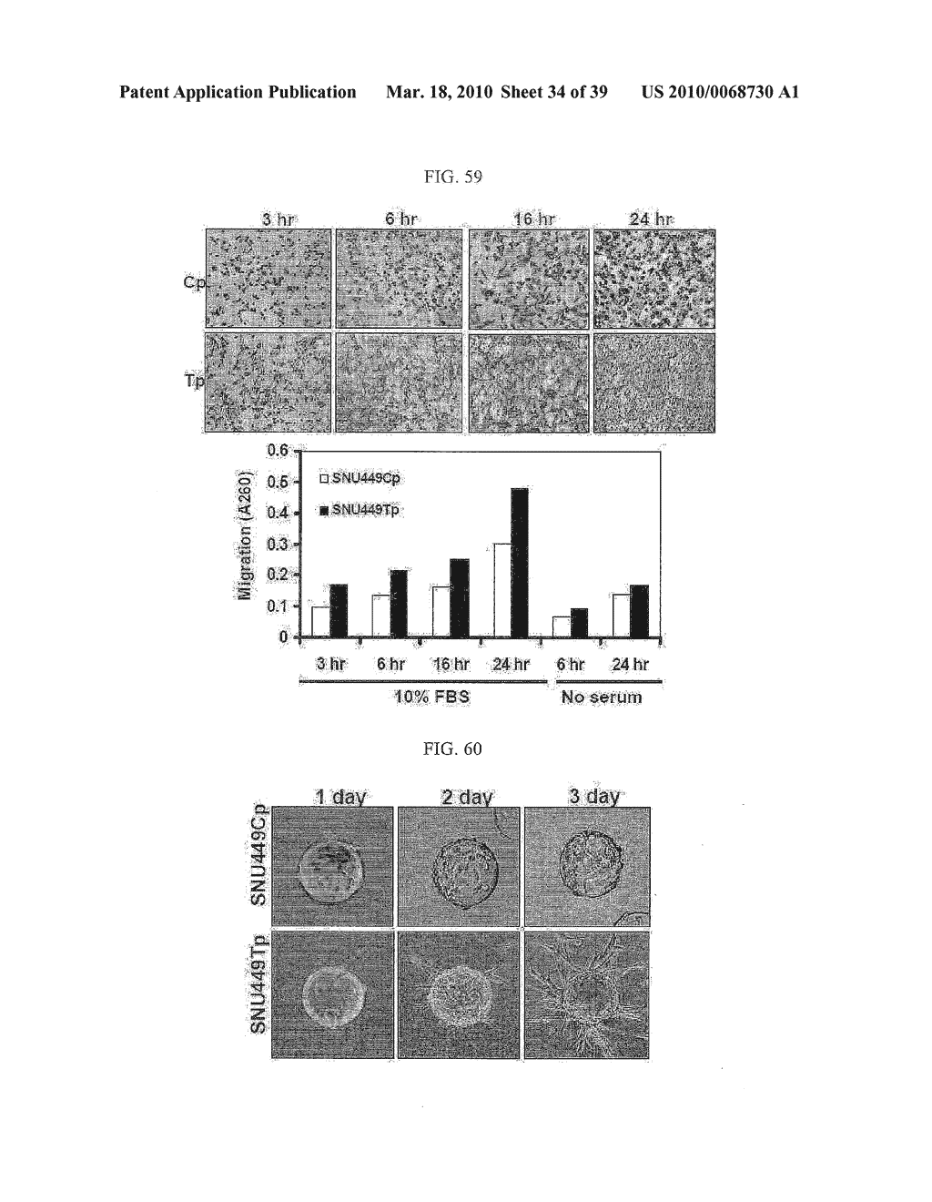 METHOD FOR SCREENING ANTI-CANCER COMPOUNDS INHIBITING FUNCTION OF TM4SF5 AND ANTI-CANCER COMPOSITION CONTAINING CHALCONE COMPOUNDS - diagram, schematic, and image 35