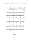 NOVEL NUCLEIC ACID MOLECULES diagram and image