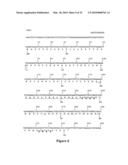 NOVEL NUCLEIC ACID MOLECULES diagram and image