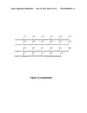 NOVEL NUCLEIC ACID MOLECULES diagram and image