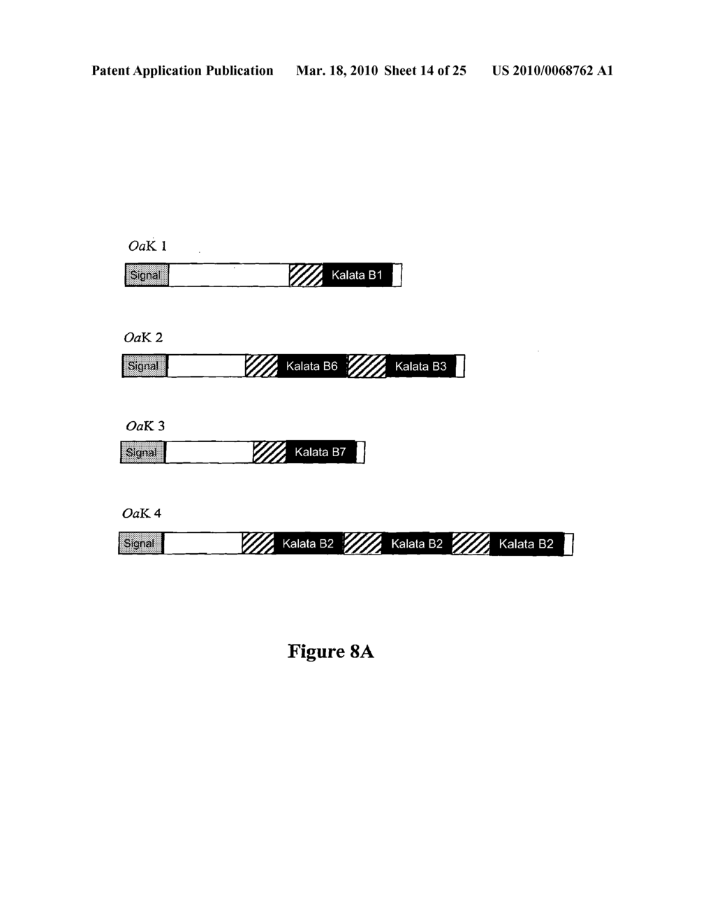 NOVEL NUCLEIC ACID MOLECULES - diagram, schematic, and image 15