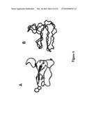 NOVEL NUCLEIC ACID MOLECULES diagram and image