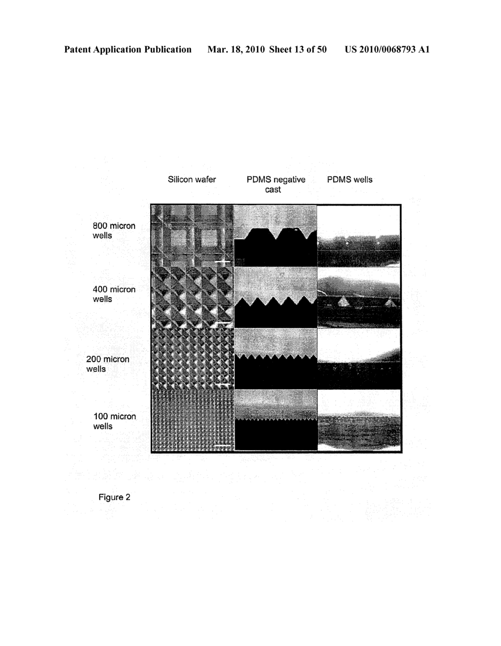 DEVICES AND METHODS FOR PRODUCTION OF CELL AGGREGATES - diagram, schematic, and image 14
