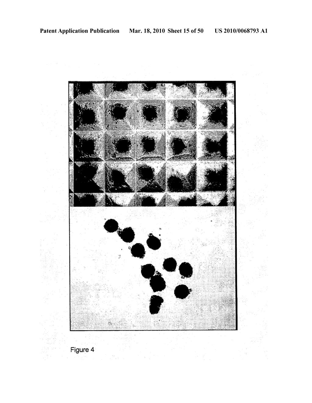 DEVICES AND METHODS FOR PRODUCTION OF CELL AGGREGATES - diagram, schematic, and image 16