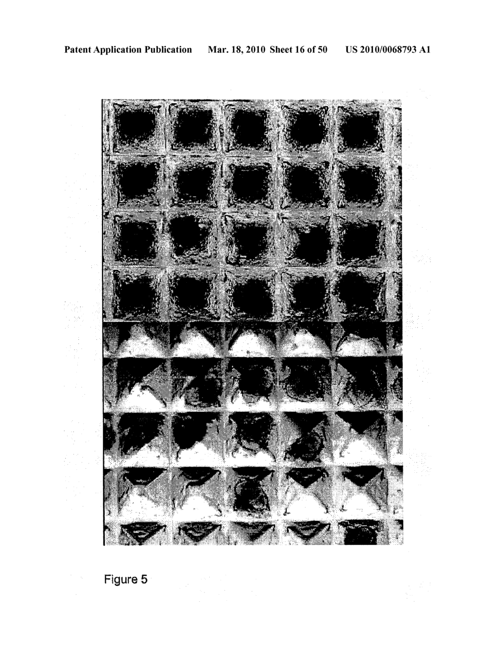 DEVICES AND METHODS FOR PRODUCTION OF CELL AGGREGATES - diagram, schematic, and image 17