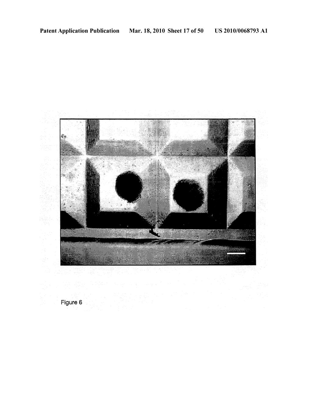 DEVICES AND METHODS FOR PRODUCTION OF CELL AGGREGATES - diagram, schematic, and image 18