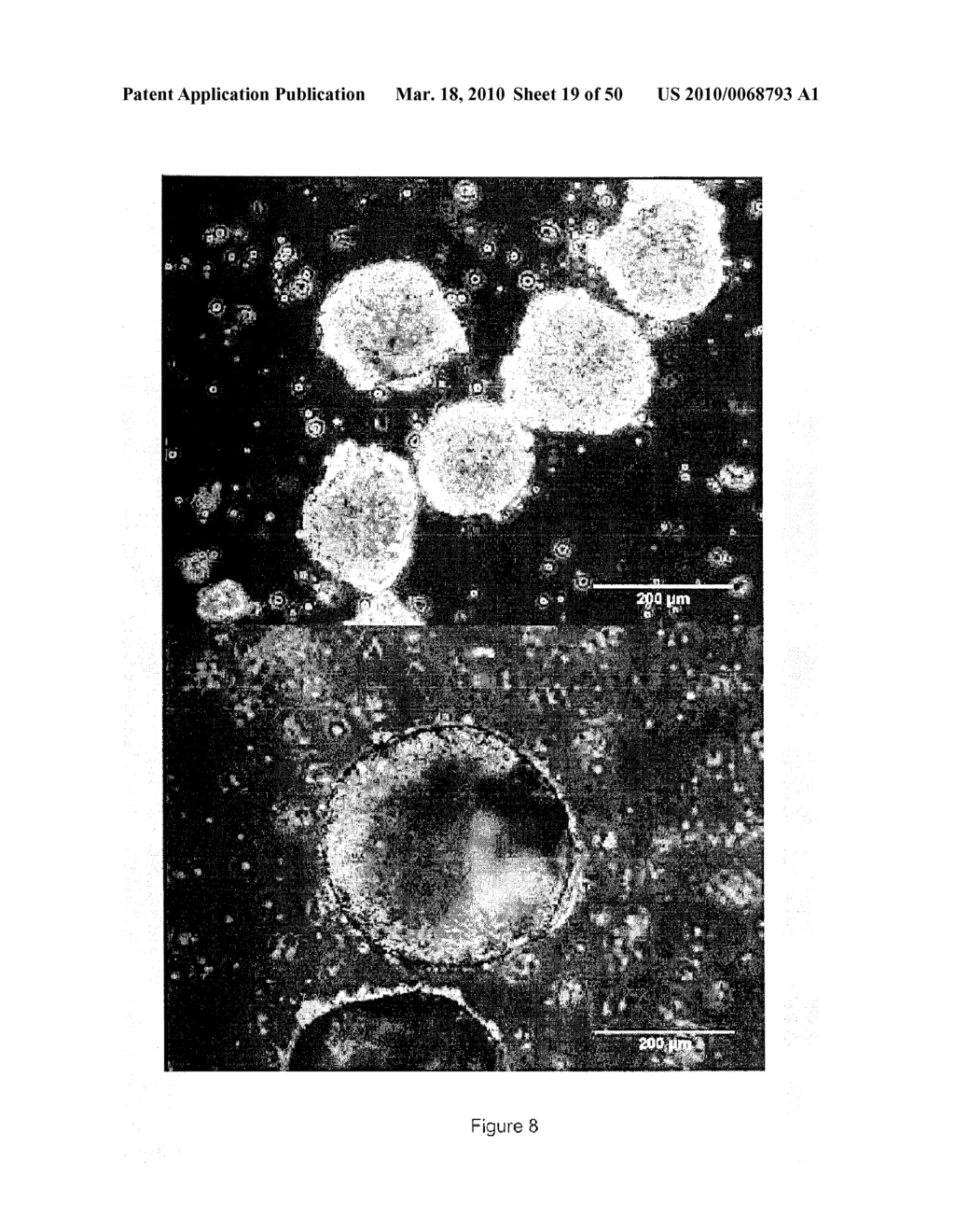 DEVICES AND METHODS FOR PRODUCTION OF CELL AGGREGATES - diagram, schematic, and image 20