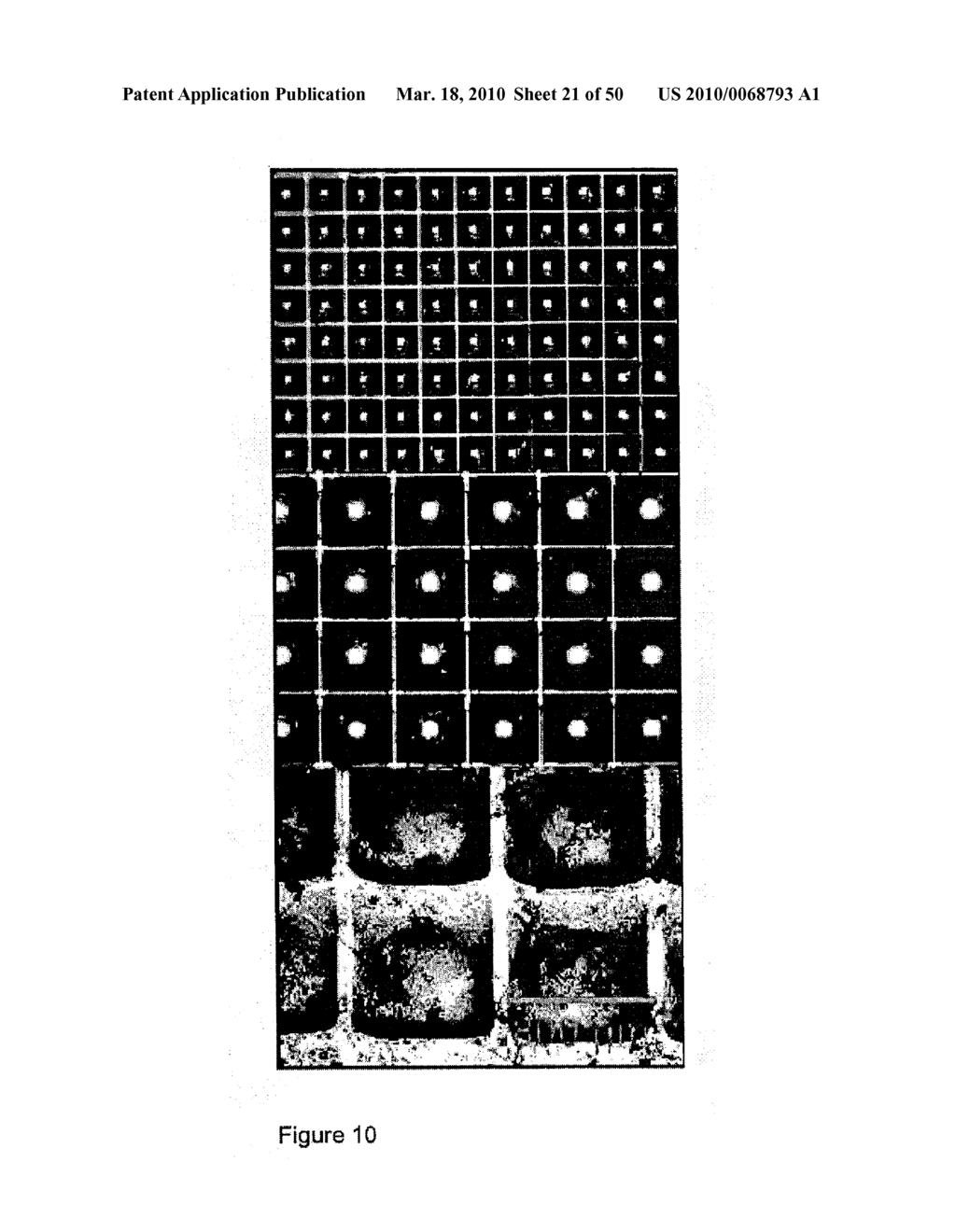 DEVICES AND METHODS FOR PRODUCTION OF CELL AGGREGATES - diagram, schematic, and image 22